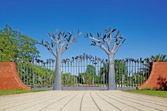 Den neuen Zaun des Botanischen Gartens der Uni Kiel hat Kurt Lange mit Symbolen aus der Pflanzenwelt gestaltet.