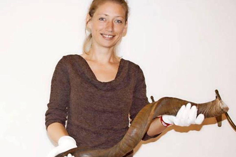 Kuratorin Susanne Petersen präsentiert ein afrikanisches Kuddu-Horn.