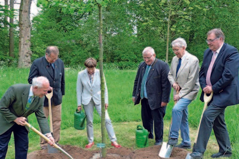 Der Landesverband Schleswig-Holstein der Schutzgemeinschaft Deutscher Wald schenkte dem Schlossgarten den Baum des Jahres, eine Winterlinde.