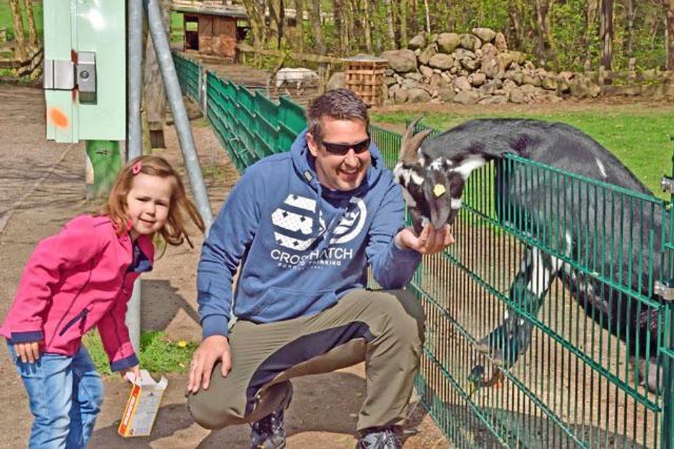 Im Schwentinentaler Tierpark nähern sich Holger Nissel und Tochter Ella vorsichtig dem Koppelzaun, von wo aus sie bereits neugierig beäugt werden.