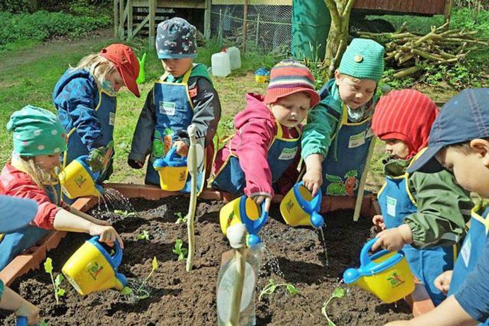 Und zum Schluss das Beste: Gießalarm! Mit viel Spaß kümmern sich die Nachwuchsgärtner um ihr Gemüse und lernen so, Verantwortung zu übernehmen.
