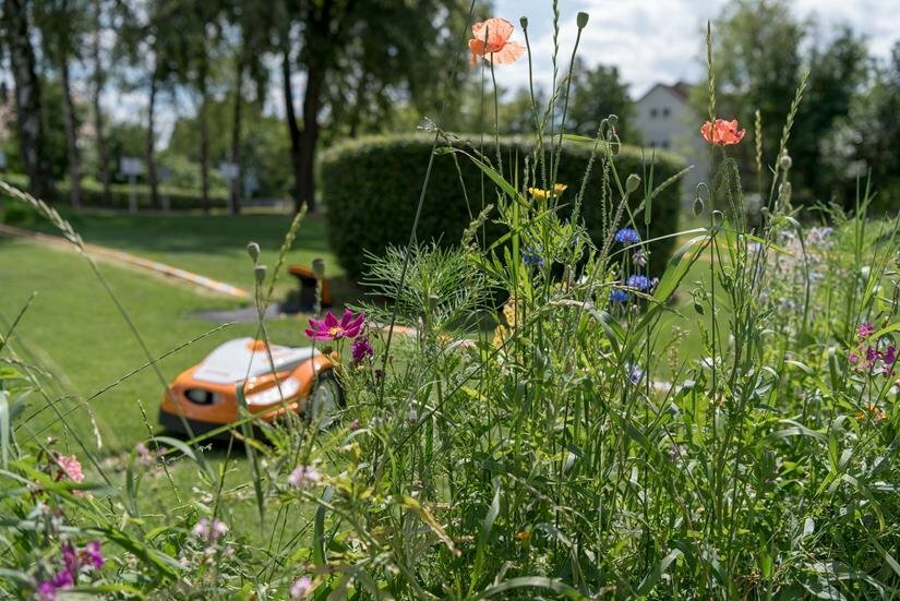 Bunte Vielfalt statt monotoner Flächen: Blühstreifen und Blühinseln aus heimischen Pflanzen tragen zu mehr Biodiversität im eigenen Garten bei. Foto: djd/STIHL