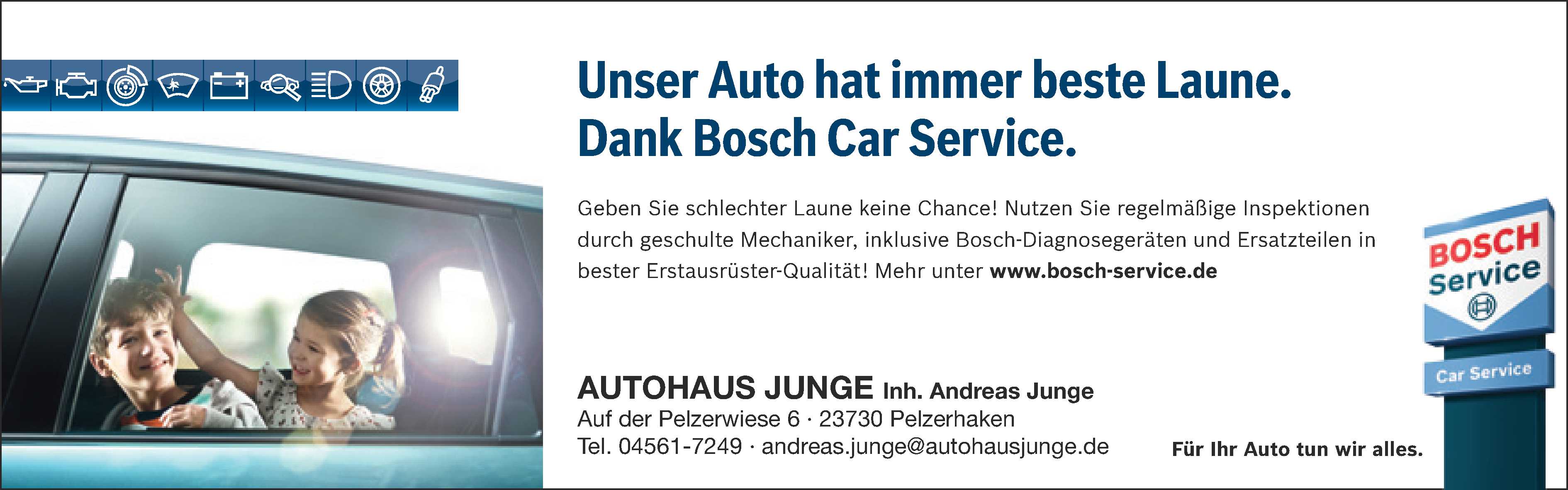 Bosch Car Service