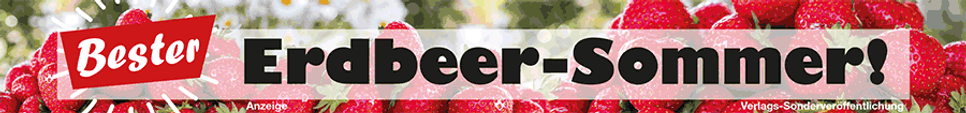 Erdbeeren