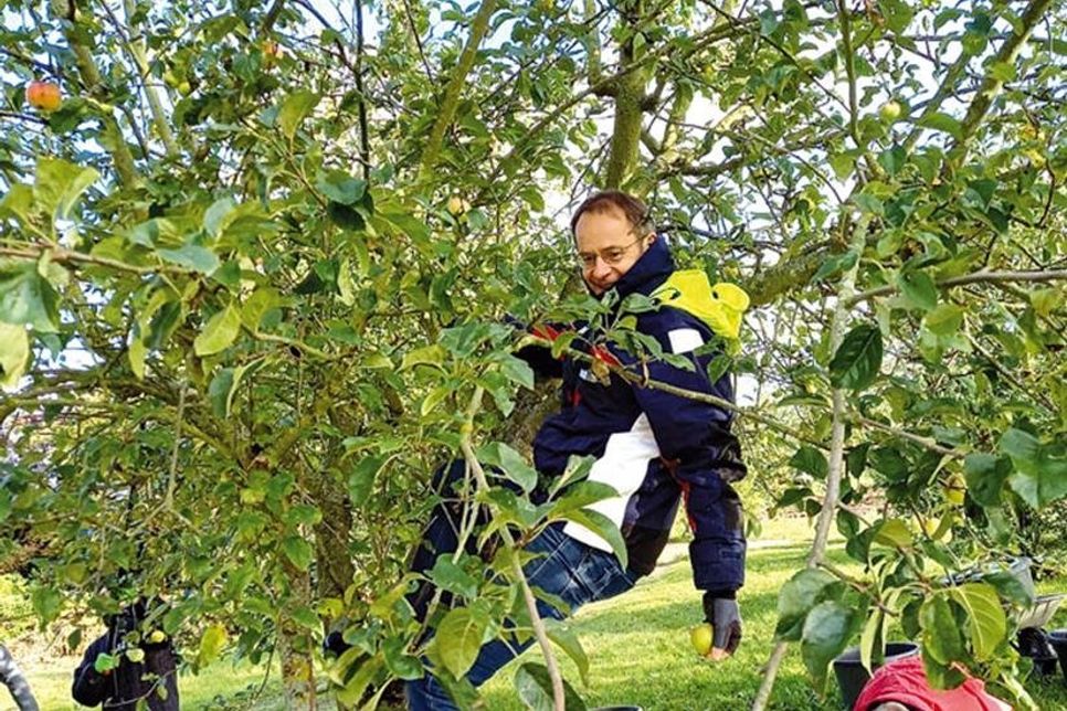 Für eine reiche Ernte ging es (relativ) hoch hinaus.