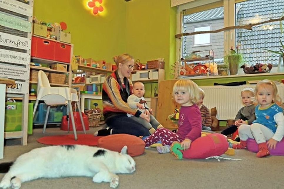 Schnurrende Begleitung: Kater Leo zeigt sich gesellig und ist gern mit dabei.