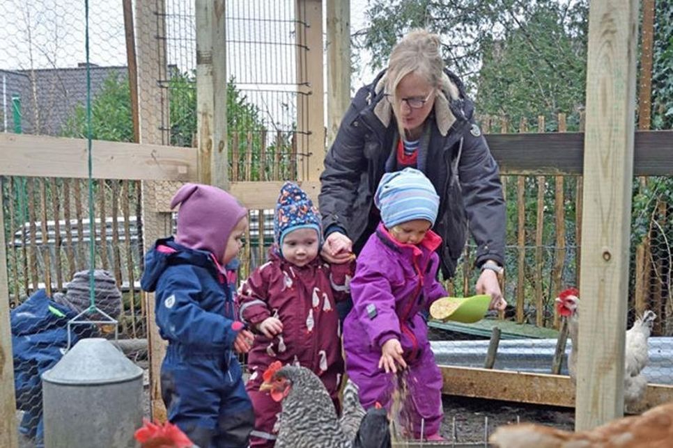 Die U3 Kinder haben viel Spaß beim Hühner füttern. Tagesmutter Brigitte Oberschelp sorgt täglich für abwechslungsreiche Aktionen, mit denen die Kleinen ihre Welt immer besser kennen lernen.