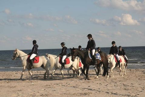 „Das Glück der Erde liegt auf dem Rücken der Pferde“ heißt es am 14. Oktober wieder im Ostseebad Kellenhusen.