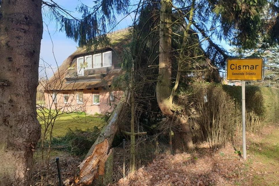Ein circa 20 Meter langer Baum war auf ein reetgedecktes Haus gestürzt.