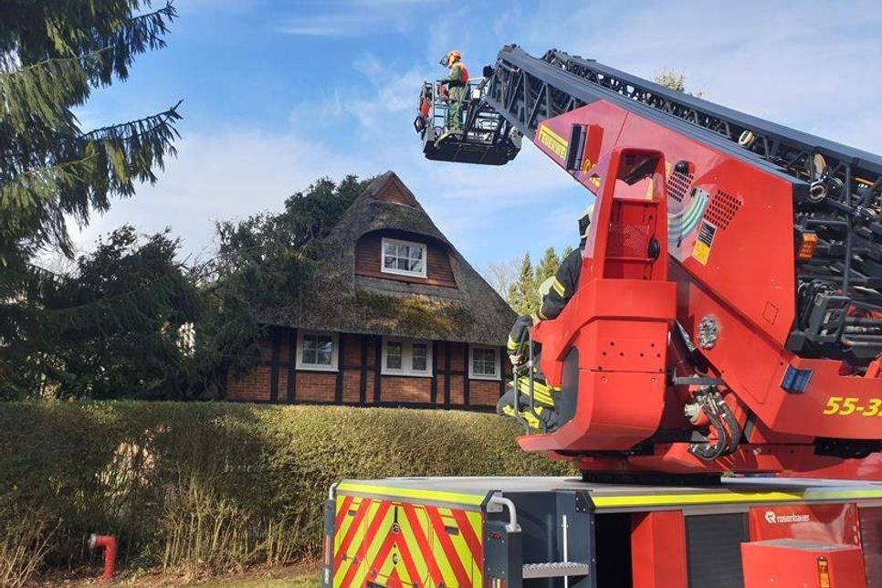 Ein circa 20 Meter langer Baum war auf ein reetgedecktes Haus gestürzt.