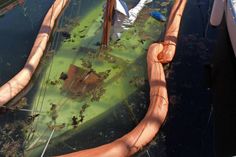 Neustadt. Am Dienstagmorgen, dem 22. Mai ist ein sechs Meter langes Holzboot im Hafen des Neustädter Segler Verein gesunken. Die Freiwillige Feuerwehr Neustadt hat im Rahmen der Gefahrenabwehr, Ölschlängeln mithilfe ihres Schlauchbootes gezogen zur Vorbeugung gegen Kraftstoffaustritt. Menschen oder Tiere waren nicht in Gefahr, teilte Gemeindewehrführer Alexander Wengelewski dem „reporter“ mit. (red)