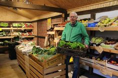 Die Salatsaison ist eröffnet. Hans-Hermann Schütt bietet das täglich knackfrische Gemüse im Hofladen und auf Wochenmärkten an.