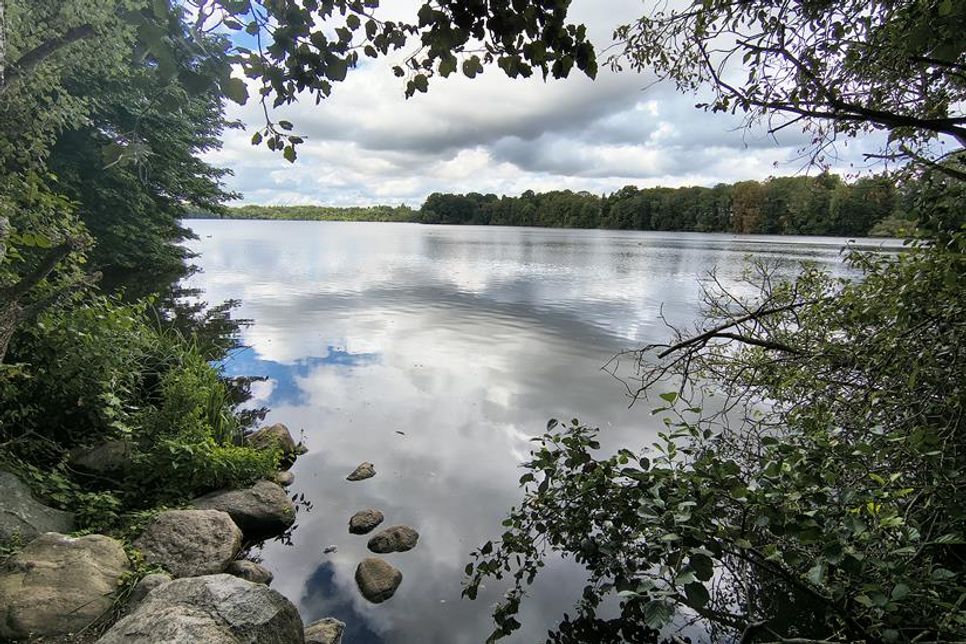 Michael Tholen zeigt den Kleinen Eutiner See von seiner stillen Seite – mit spiegelglattem Wasser und bewegtem Himmel.