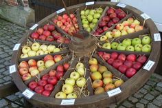 Für eine Sortenbestimmung eigener Äpfel wird eine Pomologin vor Ort sein.