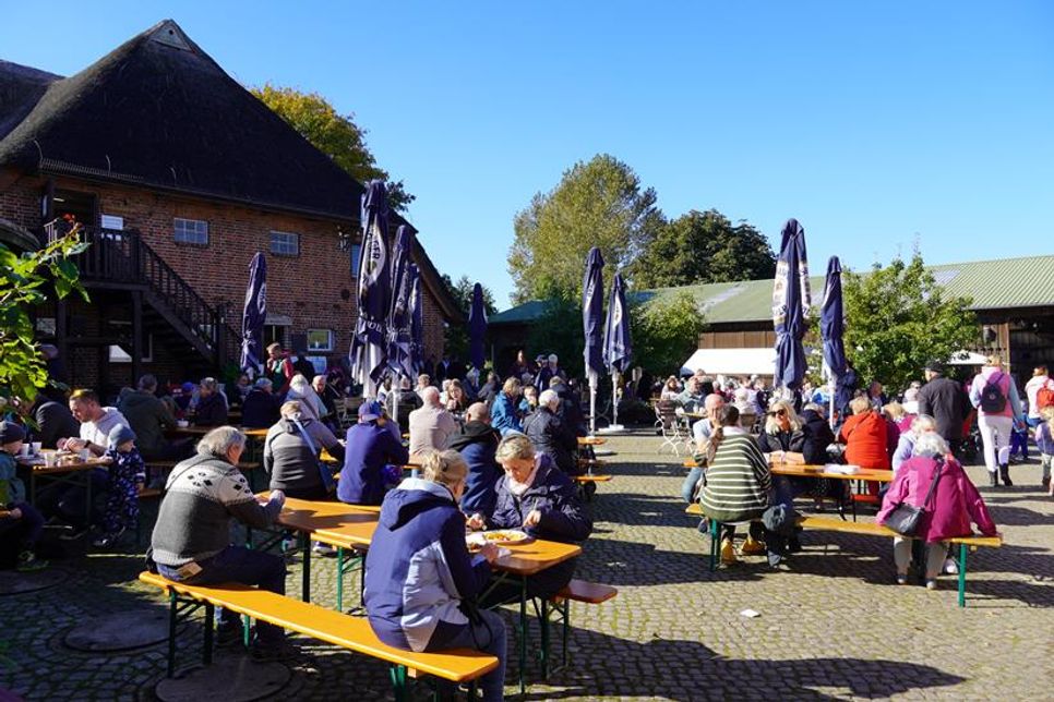 Der Museumshof war bei bestem Wetter ein Anlaufpunkt für viele fröhliche Menschen.