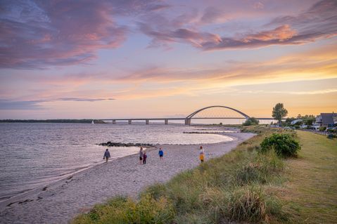 Online-Befragung des TSF