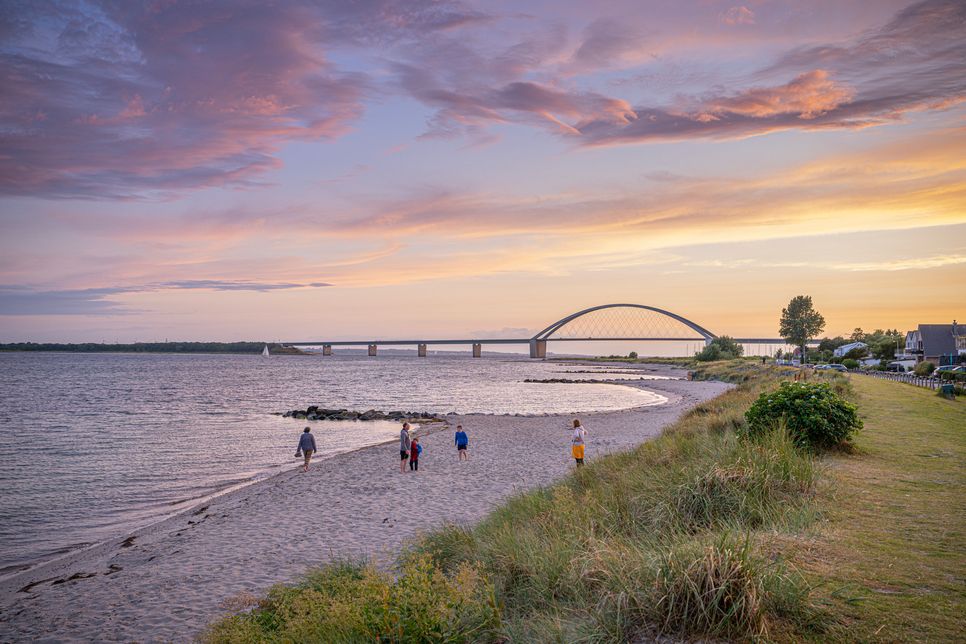 Online-Befragung des TSF