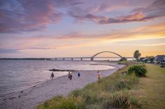 Online-Befragung des TSF