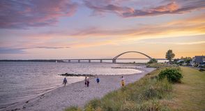 Online-Befragung des TSF