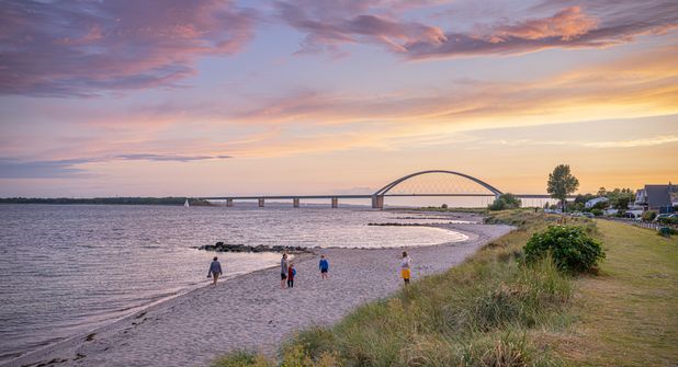 Online-Befragung des TSF