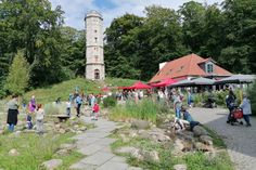 Das Sommerfest im Erlebnis Bungsberg bietet ein buntes Programm für die ganze Familie.