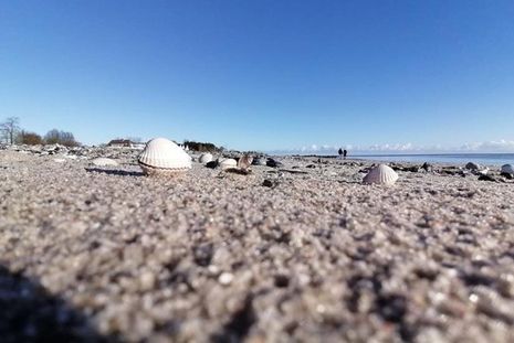 Manchmal muss man sich schon etwas verbiegen, um den optimalen Kamerastandpunkt einzunehmen. Das Ergebnis sind oft beeindruckende Bilder, wie dieses von Margitta Düring-Hopp vom Grömitzer Strand.
