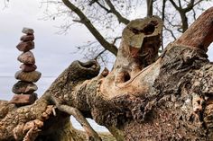 Dieses Foto eines wunderbaren Arrangements aus Steinen und knorrigem Holz schickte uns Tobias Reinke aus Bosau.