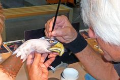 Bodypainter Guido Daniele zaubert exotische Tiere auf Besucherhände.