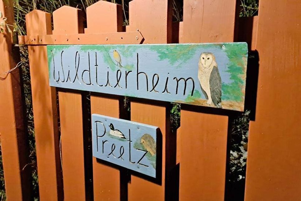 Das Wildtierheim Preetz lädt am Sonnabend erneut zum „Tag der offenen Tür“ ein.