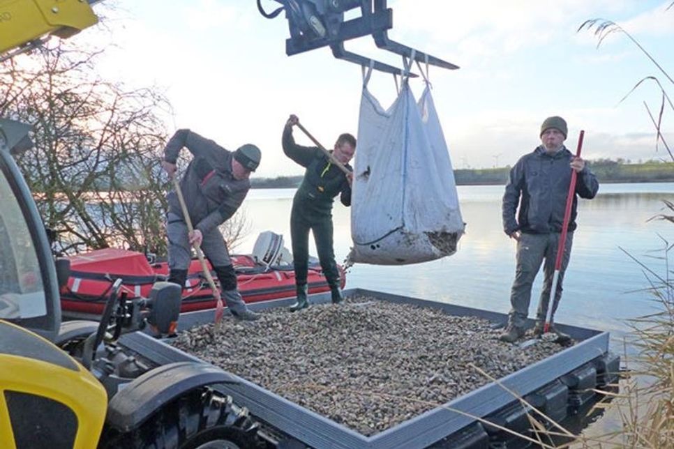 Der Kies sorgt für Gewicht auf dem Ponton, darauf kommt eine Schilfmatte, die das Brutfloß etwas gemütlicher macht – sie kann im Frühling für die neue Brutsaison ganz unkompliziert ausgetauscht werden.
