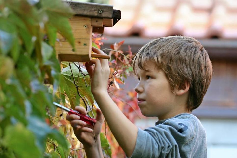 Vogelhäuschen sind schon hohe Heimwerkerkunst. Kids, die so etwas erschaffen, dürfen zurecht stolz auf sich sein. Foto: fotolia.com © Alexandra
