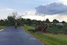 Unter anderem ein entwurzelter Baum war die Folge des starken Gewitters am Lensterstrand.