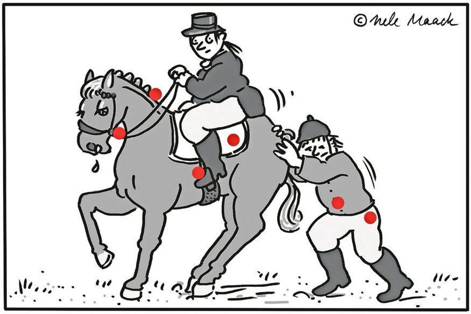Haben Sie alle Fehler gefunden? Hier die Auflösung.