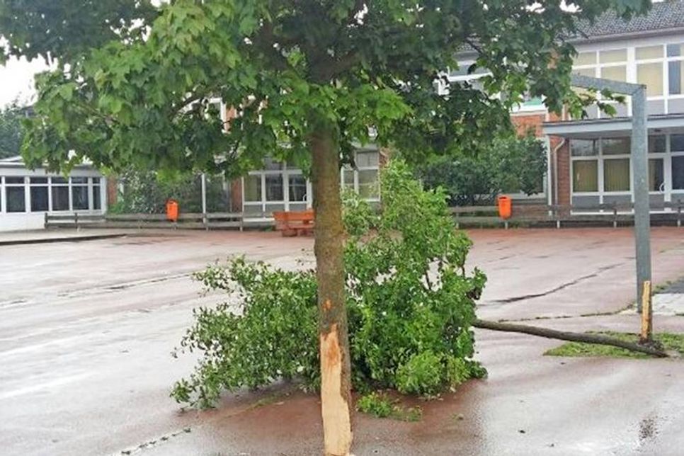 Blinde Zerstörungswut auf dem Schulhof der Grund- und Gemeinschaftsschule.