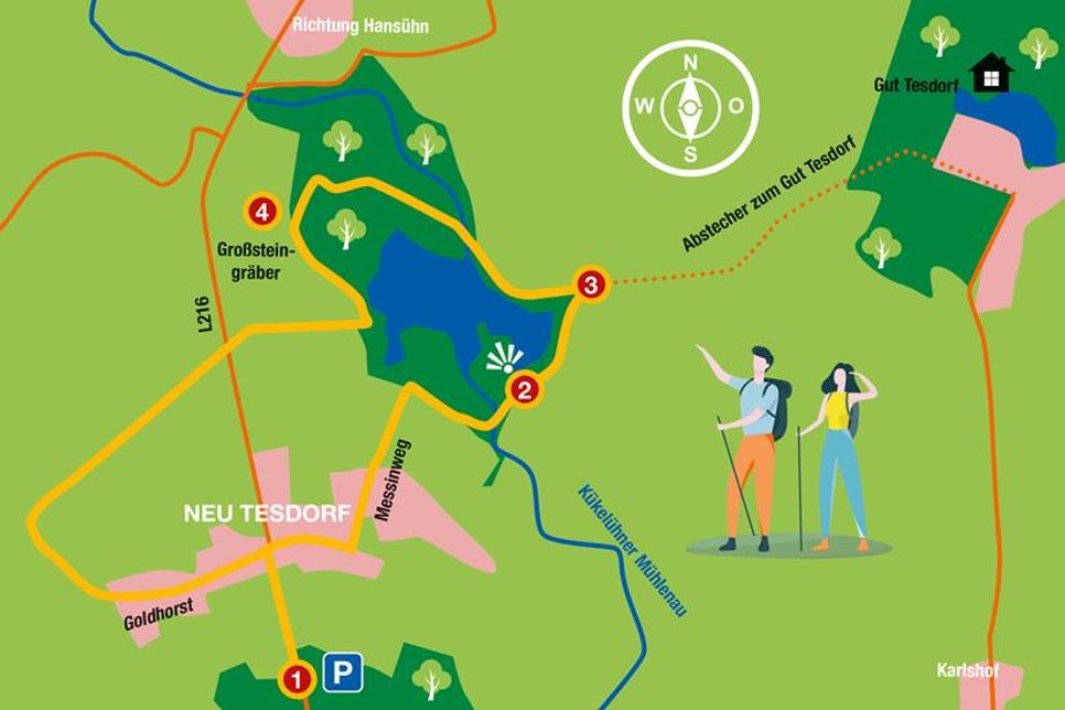 Die Rundtour führt abseits der bekannten Wege auf 5,5 beziehungsweise 8,5 Kilometern durch stille Wälder, vorbei an alten Alleen und der Kükelühner Mühlenau. Wer mag, macht noch einen Abstecher zum Gut Testorf.