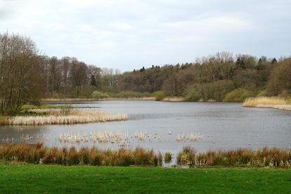 Die Strecke bietet schöne Aussichtspunkte (2) mit weitem Blick über das von Schilf und Wald umgebene Gewässer.