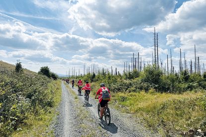 Unverkennbar an den kahlen Nadelbäumen, ging die zehntägige Tour bis in den Harz hinein.