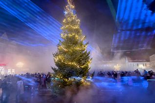 Mit einer imposanten Lasershow am Tannenbaum wurde die „Lichterstadt Eutin“ am Montag eröffnet.