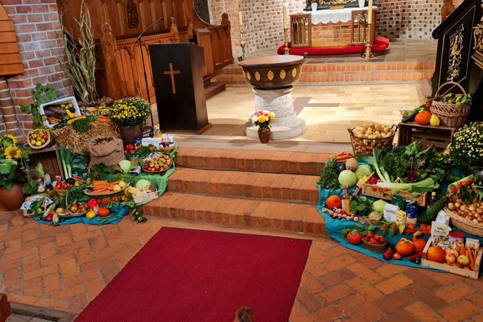 Die Erntegaben kommen der Neustädter Tafel zugute.