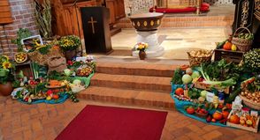 Die Erntegaben kommen der Neustädter Tafel zugute.