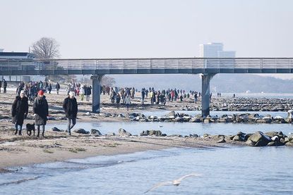 Trotz Lockdown: Volle Strände zwischen Niendorf/Ostsee und Haffkrug, hier ein Blick von Niendorf Richtung Timmendorfer Strand.