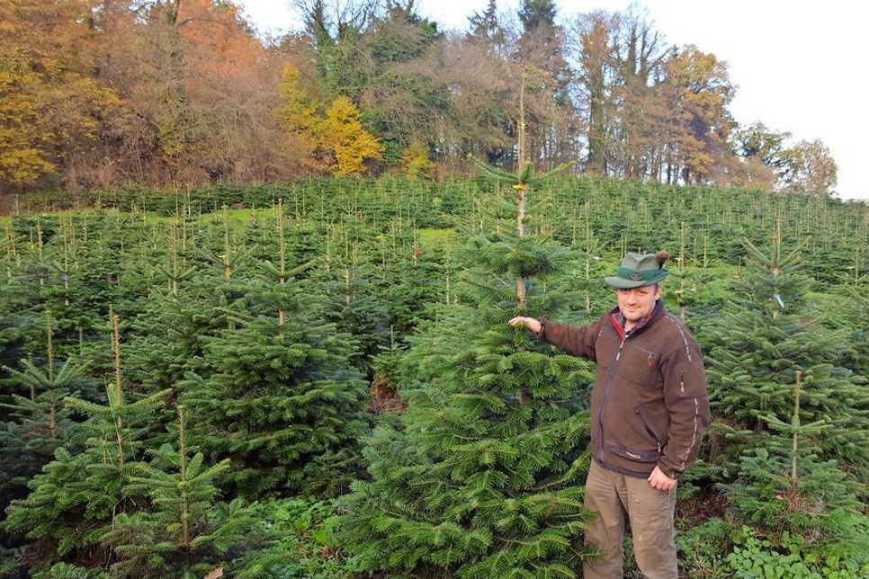 Axel Köhn – Revierleiter Forst Lensahn.