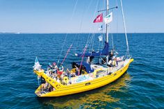 Forschungsschiff, Unterwasserwälder zum Anfassen und vieles mehr: MeerErlebnis Tage 2026 in Niendorf/Ostsee