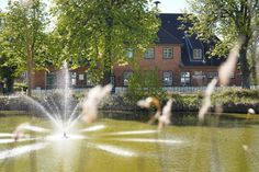 Idyllischer Blick auf Schönwalde: Im Vordergrund der Mühlenteich mit Wasserspiel, dahinter das Dorf- und Schulmuseum in der ehemaligen Dorfschule.