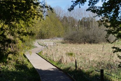 Der Rundweg am historischen Pfarrhof ist ein idyllischer Wanderweg, auf dem sich inmitten der Natur wunderbar den Vogelstimmen lauschen lässt