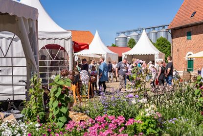 Auf der Ambienta können die Besucher durch den idyllischen Innenhof von Gut Sierhagen schlendern - umgeben von liebevoll gestalteten Ausstellerständen. (Foto: Marianne Schreier)