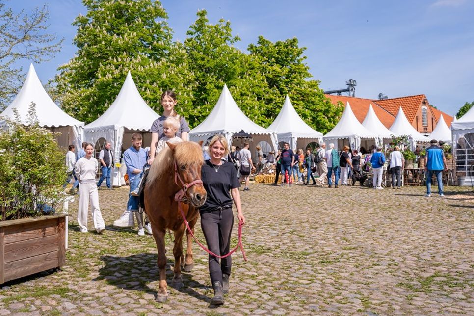 Das kostenlose Rahmenprogramm sorgt mit dem Ponyreiten für Abwechslung. (Foto: Marianne Schreier)