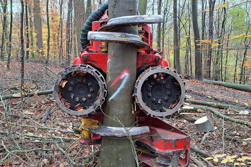 Die markierten Baumstämme hält der Harvesterkopf mit diesen Metallrollwalzen fest, über die auch die Entastung erfolgt.