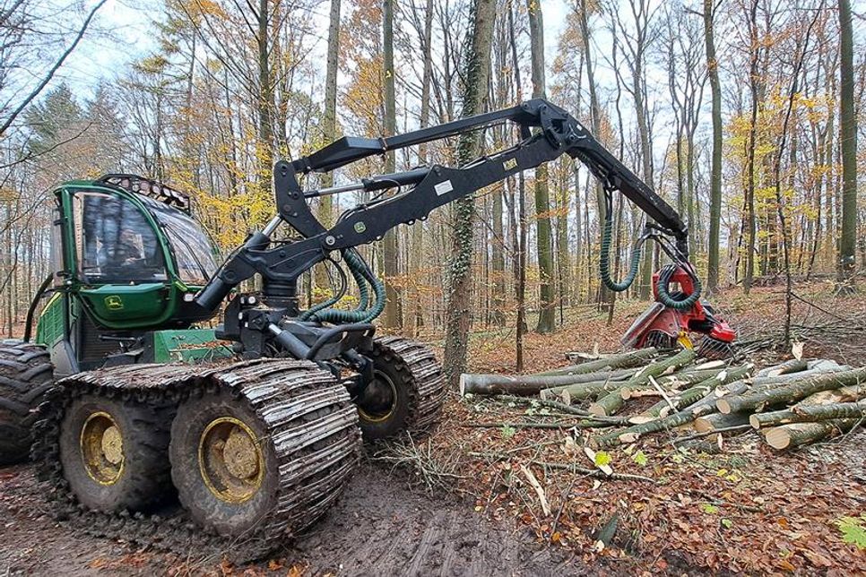 Der oft auch „Waldelefant“ genannte Harvester ist ein mächtiges Arbeitsgerät, das 26 Tonnen auf die Waage bringt und sich auf Rädern oder Bändern durch den Wald bewegt.