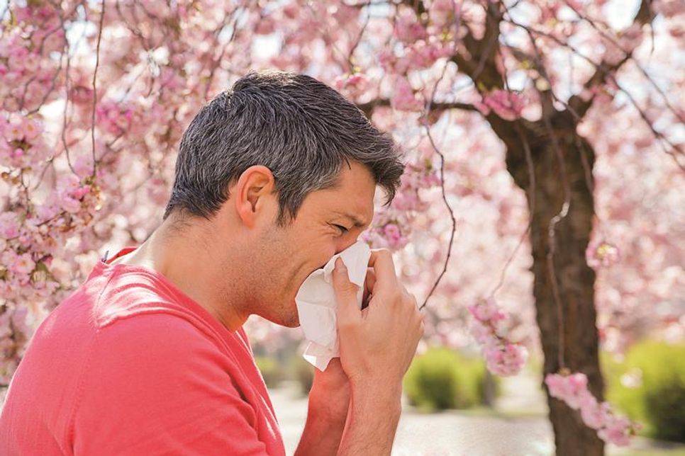 Typische Heuschnupfensymptome sind Niesattacken, Schnupfen, tränende Augen und Juckreiz.